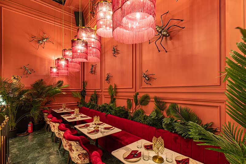 Amazonia table image